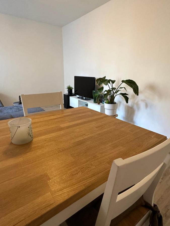 Living Lu - Cosy Apartment - Netflix - Mannheim - Basf Ludwigshafen am Rhein Eksteriør billede